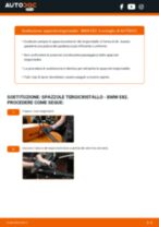 BMW 1 Coupe (E82) Tergicristalli sostituzione: tutorial PDF passo-passo