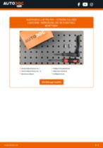 CITROËN BERLINGO (B9) Ansaugluftkühler: Online-Handbuch zum Selbstwechsel