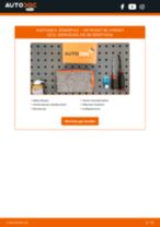 VIKA 99050038401 für Passat Variant (3C5) | PDF Handbuch zum Wechsel