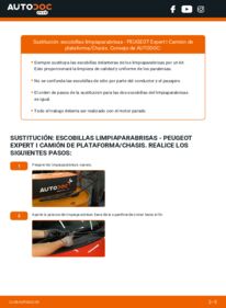 Cómo cambiar: escobillas limpiaparabrisas de la parte delantera - PEUGEOT  Expert I Camión de plataforma/Chasis | Guía de sustitución
