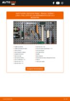 Manual de sustitución para SCÉNIC del 2014 gratuito en PDF