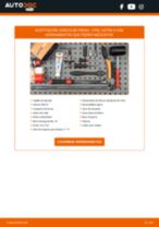 Cambio Juego de frenos de disco traseras y delanteras OPEL bricolaje - manual pdf en línea