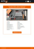 RENAULT KANGOO Reparaturhandbücher für professionelle Kfz-Mechatroniker und autobegeisterte Hobbyschrauber