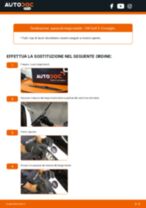 Renault Megane 2 Grandtour Pinza Freno sostituzione: tutorial PDF passo-passo