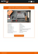 GSP 510762 para CLIO II Caixa (SB0/1/2_) | PDF tutorial de substituição