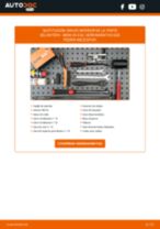 PDF manual sobre mantenimiento X5 (E53) 4.4 i