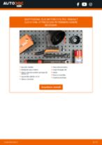 RENAULT CLIO IV Box Filtro dell’olio sostituzione: consigli e suggerimenti