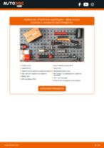 BREMBO D6837427 за X5 (E53) | PDF ръководство за смяна