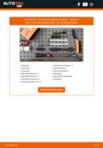 Wie Nummernschildbeleuchtung LED und Halogen beim FORD B-MAX wechseln - Handbuch online