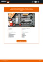 Tutorial PDF over reparatie van CLIO