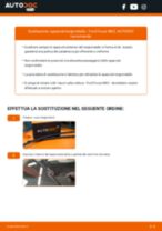 Ford Focus 2 SW Luce Targa sostituzione: tutorial PDF passo-passo