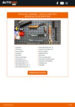 RIDEX 854S1059 für CALIBER | PDF Handbuch zum Wechsel