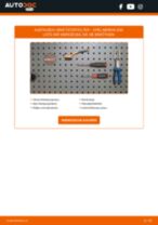 Wie Benzinfilter OPEL MERIVA auswechseln und einstellen: PDF-Anleitung