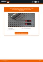 Cambio Muelle neumatico maletero FORD bricolaje - manual pdf en línea