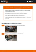 Pakeisti Valytuvo gumelė AUDI A4: instrukcija
