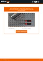 Cambio Muelle neumatico maletero FIAT bricolaje - manual pdf en línea