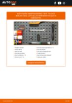 Cambio Kit amortiguadores delanteros y traseros SEAT bricolaje - manual pdf en línea