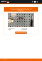 Manual de taller para Altea XL (5P5, 5P8) 2.0 TDI en línea