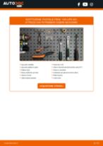 ABE C1W013ABE per Lupo (6X1, 6E1) | PDF istruzioni di sostituzione