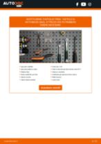 ABE C1W013ABE per POLO (6N2) | PDF istruzioni di sostituzione