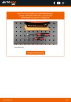 Cambio Plumas limpiaparabrisas delanteras y traseras DODGE bricolaje - manual pdf en línea