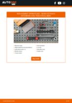 DENSO S19 for OCTAVIA (1Z3) | PDF replacing instruction