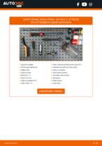 Manuale online su come cambiare Kit ammortizzatori Mini Clubman F54