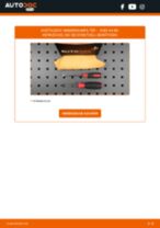Mini Clubman F54 Xenon Vorschaltgerät: Online-Handbuch zum Selbstwechsel