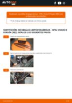 PDF manual sobre mantenimiento VIVARO