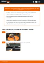 DENSO DM-048 per Fiesta Mk4 Hatchback (JAS, JBS) | PDF istruzioni di sostituzione