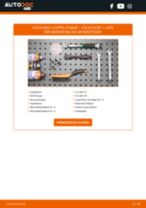 SEAT Kennzeichenleuchte LED und Halogen wechseln - Online-Handbuch PDF