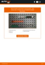 Come cambiare Puleggia tendicinghia distribuzione Serena C25 - manuale online