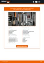 Lupo 3L Batterie: PDF-Anleitung zur Erneuerung