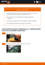 Come cambiare Tergilunotto posteriore e anteriore MERCEDES-BENZ SLK (R172) - manuale online
