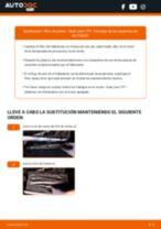 Manuales ilustrados para las revisiones rutinarias de mantenimiento de SEAT LEON (1P1)