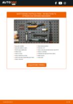 Cambio Batteria AGM, EFB, GEL Polo 6n1: guida pdf
