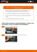 Manual de taller para efectuar reparaciones en carretera en 205
