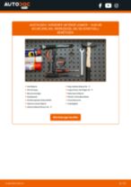 Wie Bremssattel Reparatur Set AUDI 80 austauschen und anpassen: PDF-Anweisung