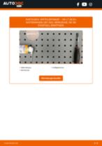 BERU 0300900029 für LT 28-35 I Kastenwagen (281-363) | PDF Handbuch zum Wechsel