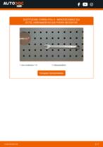 La guía profesional para realizar la sustitución de Pinzas de Freno en tu SLK R170 230 2.3 Kompressor (170.449)