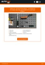 DT Spare Parts 4.67509 за PASSAT Variant (3B6) | PDF ръководство за смяна
