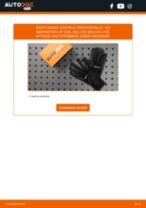 VW AMAROK (2H_, S1B) Tergicristalli sostituzione: tutorial PDF passo-passo