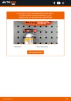 Werkstatthandbuch für VW Crafter Kastenwagen online