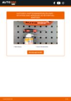 Wie Motorkühler beim VW Caddy 2 Kastenwagen wechseln - Handbuch online