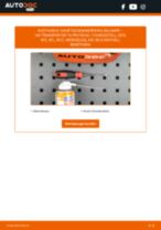 VW TRANSPORTER VI Platform/Chassis (SFD, SFE, SFL, SFZ) Hauptscheinwerfer Glühlampe: PDF-Anleitung zur Erneuerung