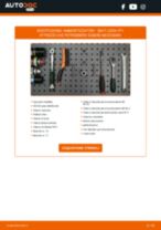 PDF manuale sulla manutenzione Alhambra (710, 711) 2.0 TDi 4Drive (DLUB)