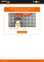 Cambio Lampadina Faro Principale VW CADDY III Box (2KA, 2KH, 2CA, 2CH): guida pdf