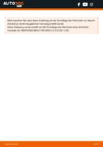 TRW DF1585 für Stufenheck (W124) | PDF Handbuch zum Wechsel