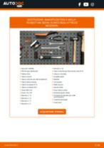 Manuale online su come cambiare Cuscinetti ammortizzatori Citroen C3 2 serie