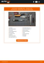 VAICO V22-0155 für 207 (WA_, WC_) | PDF Handbuch zum Wechsel